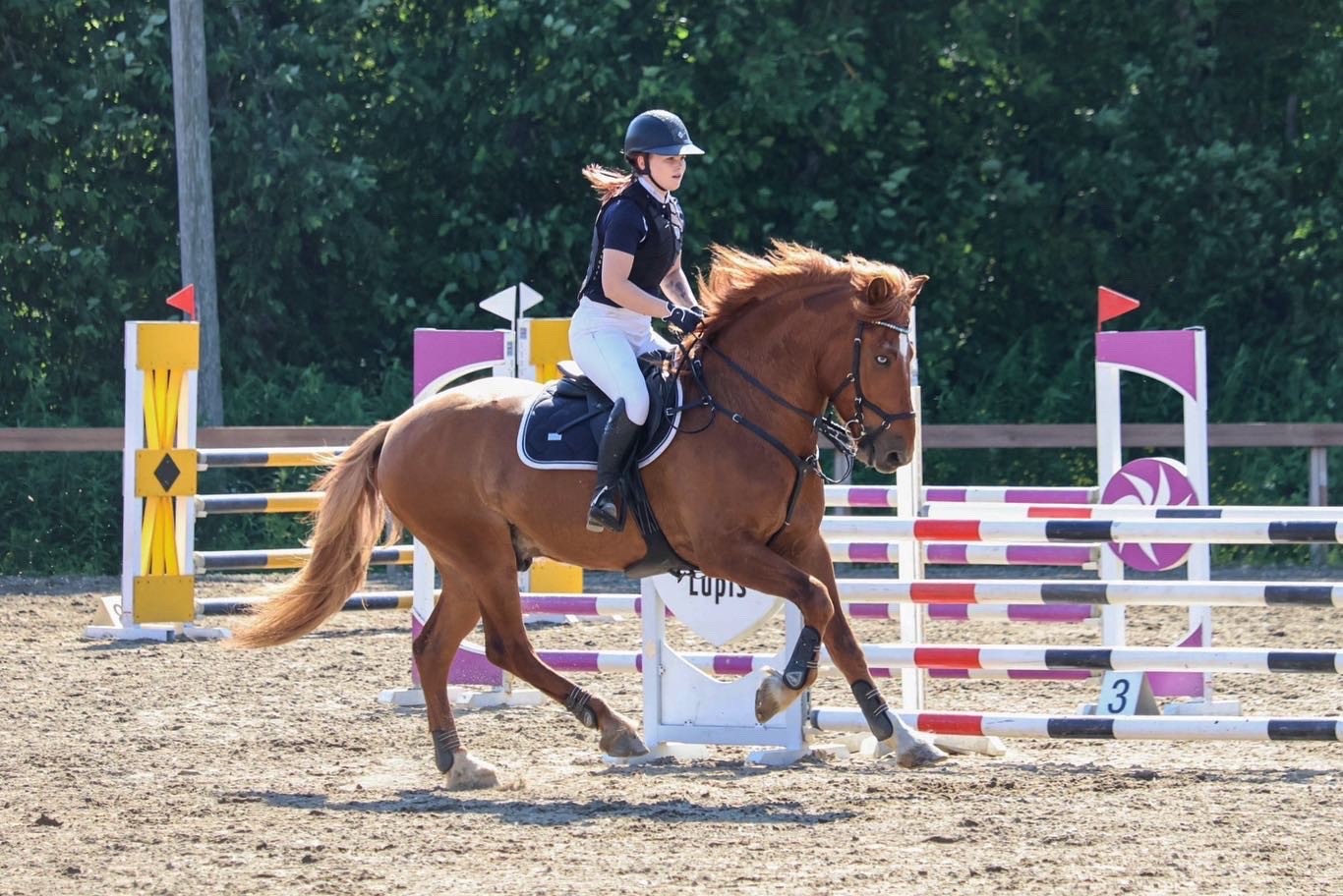 Vimmerby ''Väpä'', kuvan ottanut Kreeta Kulo