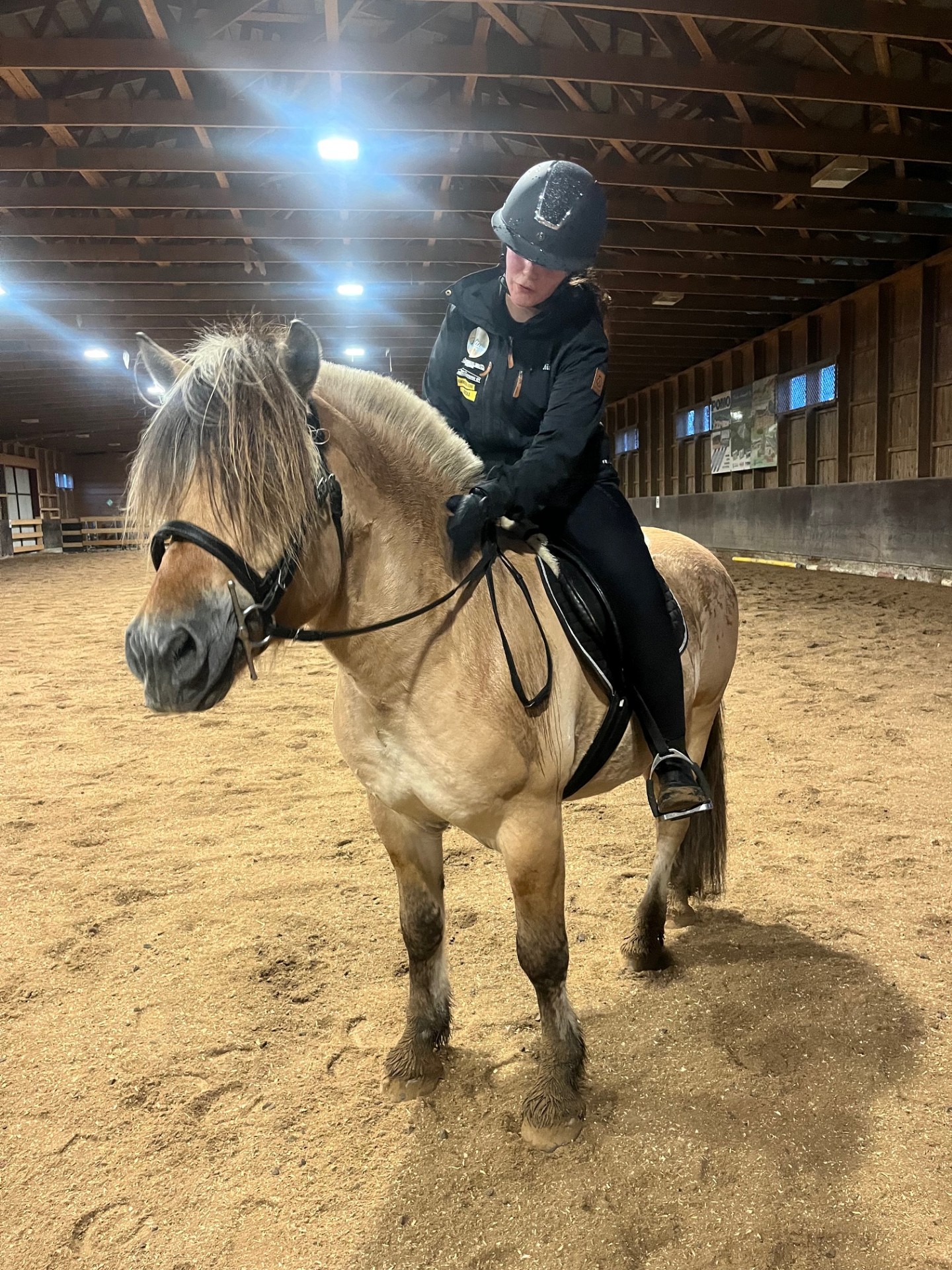 Alvin Foss ''Alvin''