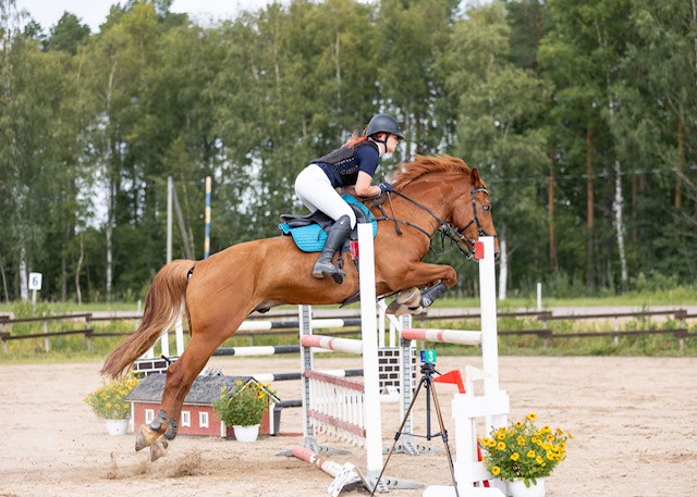 Kuvannut Henna-Miia Alanko
