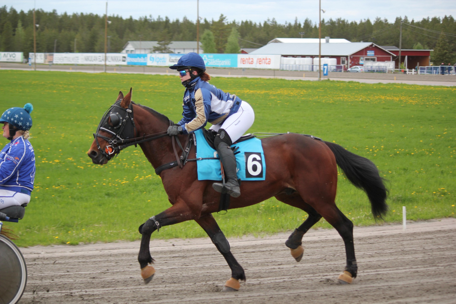 Stoneisle Ucco "Ucco" kuvannut Johanna Karvinen